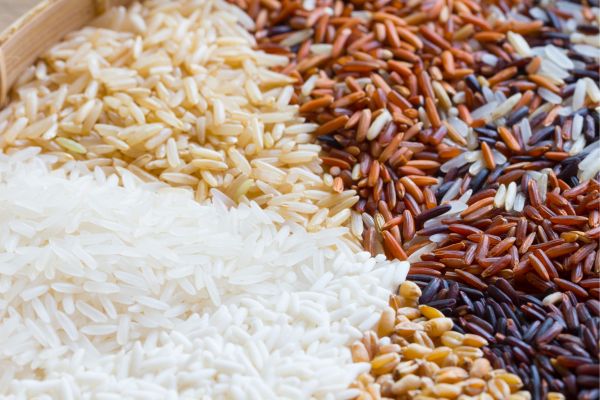 Hàm lượng dinh dưỡng trong các loại gạo lứt là khác nhau