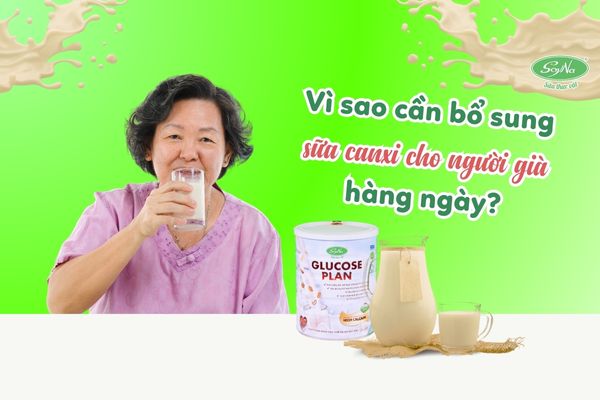 Vì sao cần bổ sung sữa canxi cho người già hàng ngày